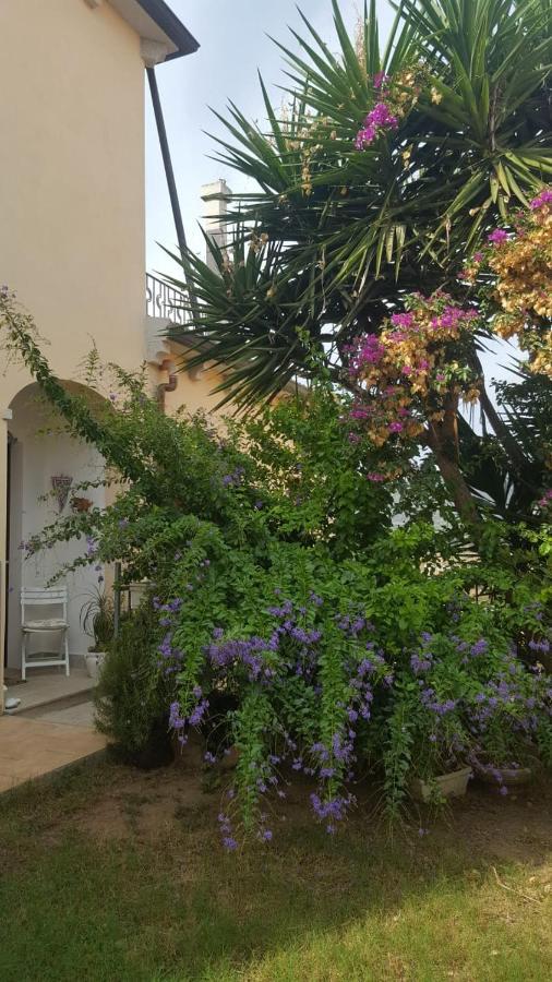 B&B Villa Orchidea Olbia Exteriör bild