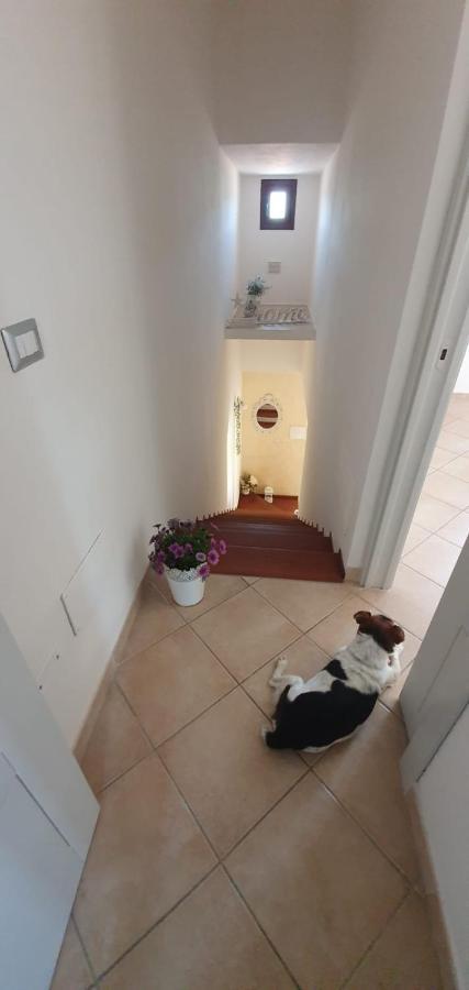 B&B Villa Orchidea Olbia Exteriör bild