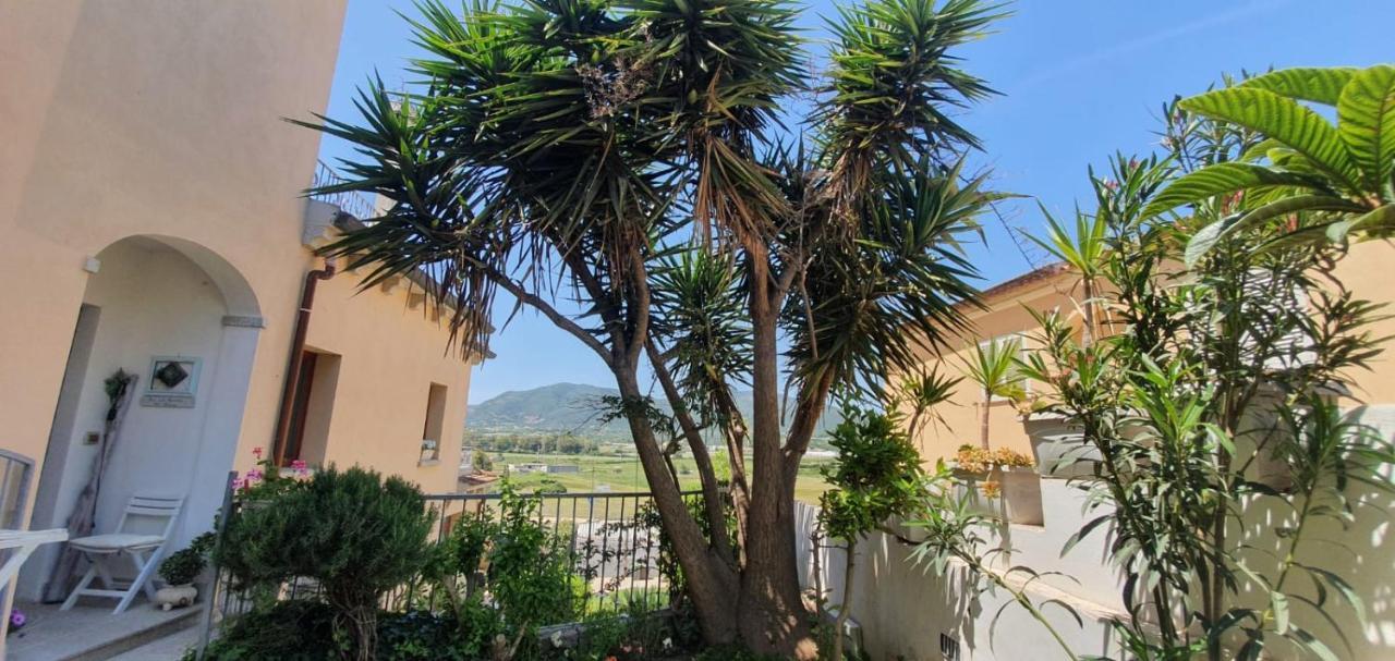 B&B Villa Orchidea Olbia Exteriör bild